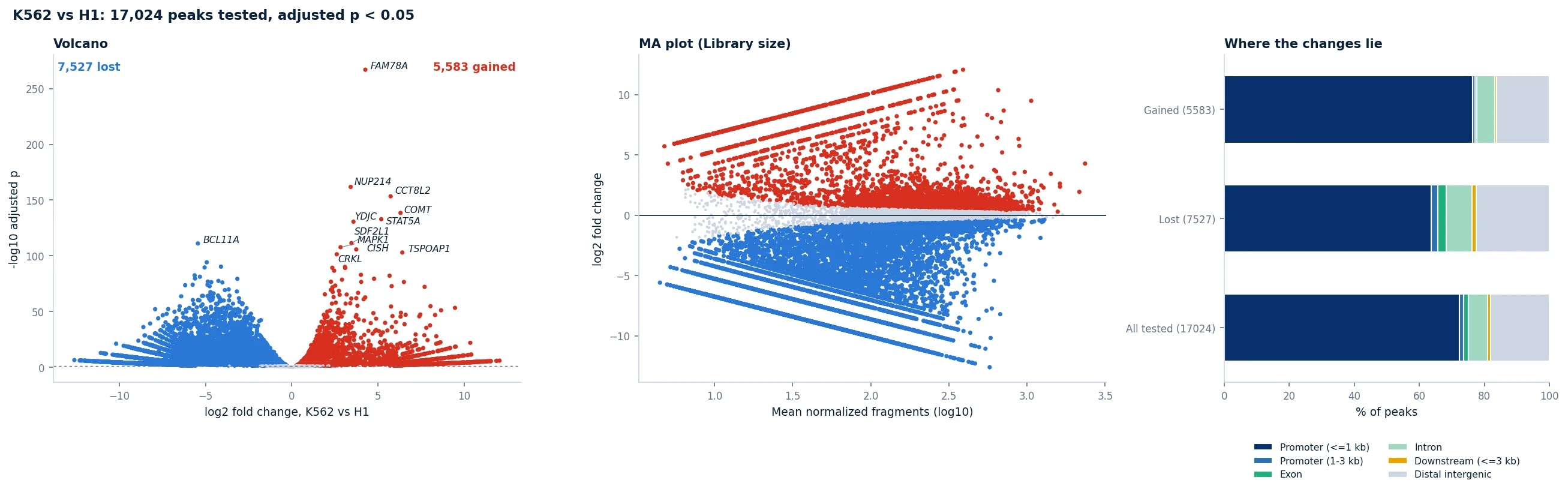 Differential Binding, K562 against H1: thousands of promoters gained and lost