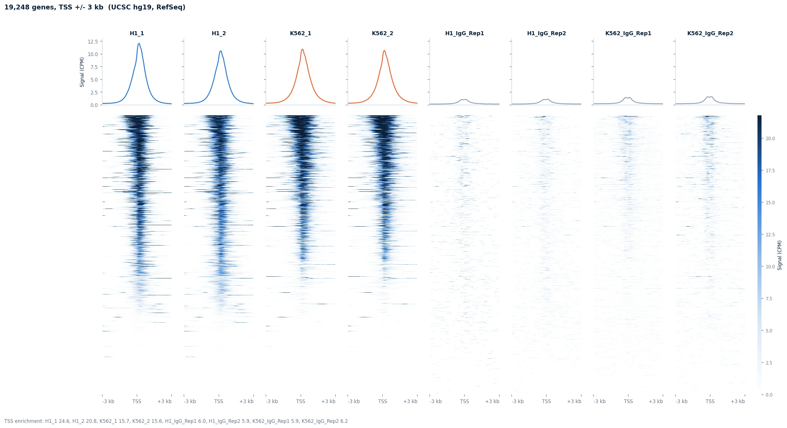 Signal at Genes: H3K4me3 at the TSS of the active genes in K562 and H1, nothing in the IgG